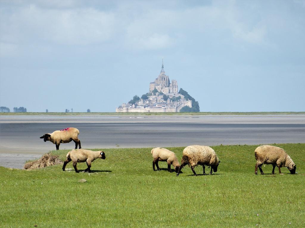 Le Minihic-sur-Rance Le Diamantヴィラ エクステリア 写真